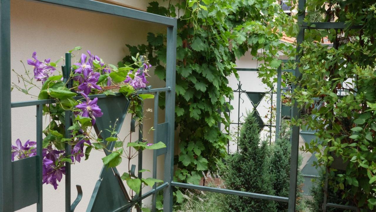 Kompleks Apartmana Superstar23A Soko Banja Exterior foto