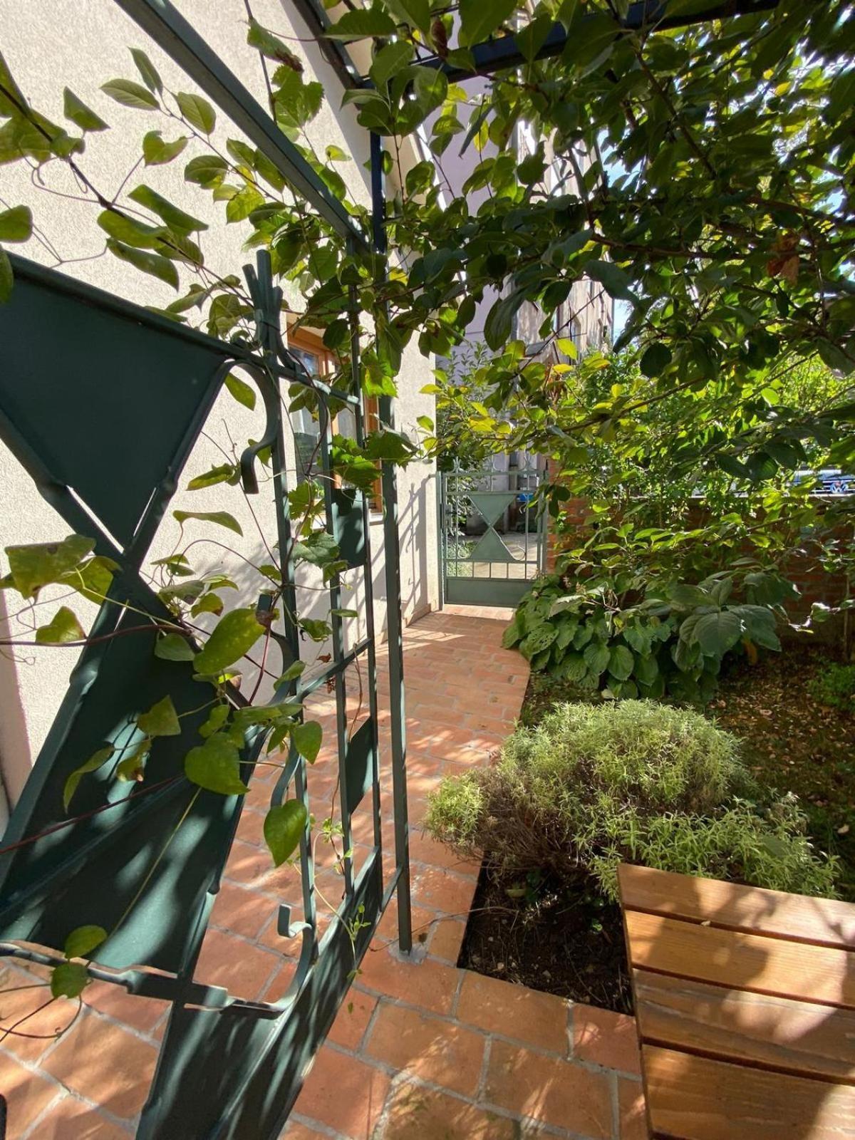 Kompleks Apartmana Superstar23A Soko Banja Exterior foto