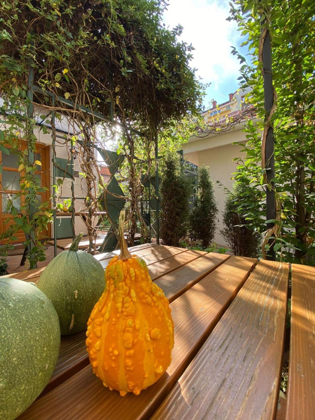 Kompleks Apartmana Superstar23A Soko Banja Exterior foto
